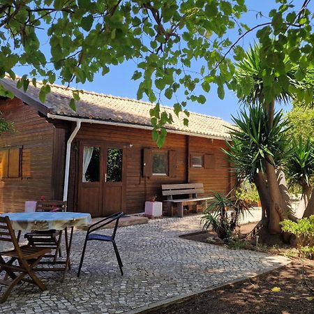 Chalet Villa Mosquito Silves Extérieur photo