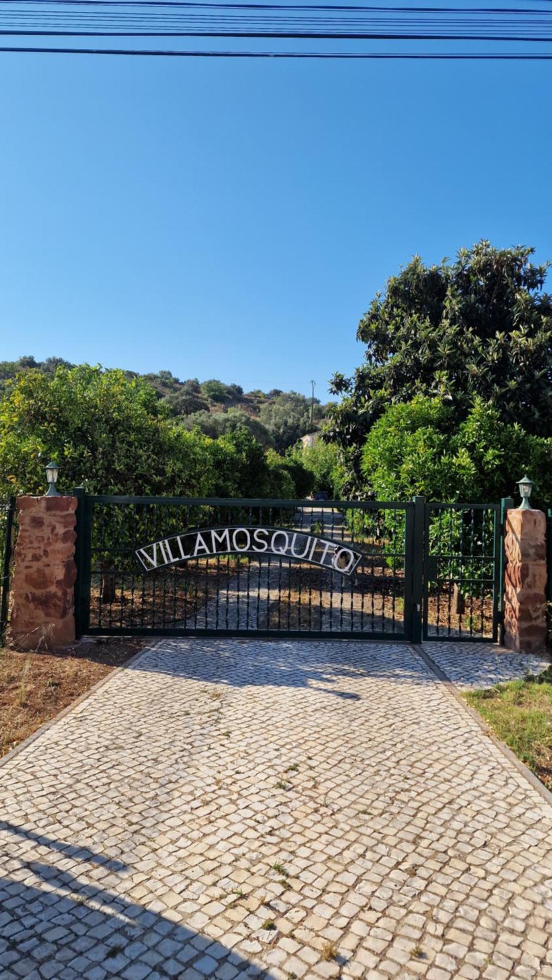 Chalet Villa Mosquito Silves Extérieur photo