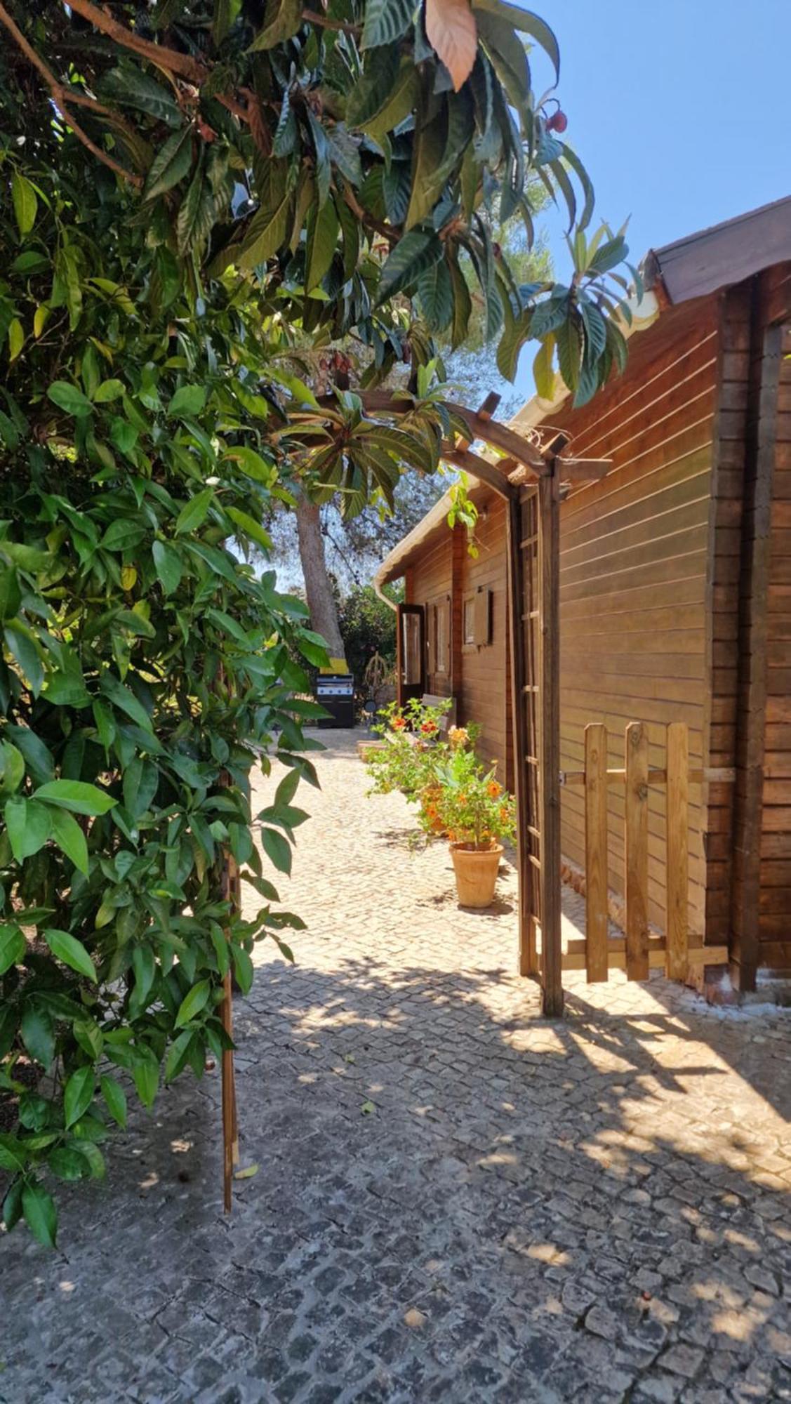 Chalet Villa Mosquito Silves Extérieur photo
