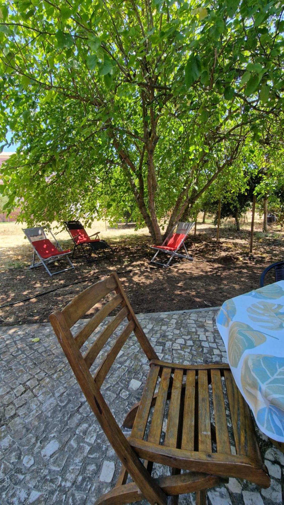 Chalet Villa Mosquito Silves Extérieur photo