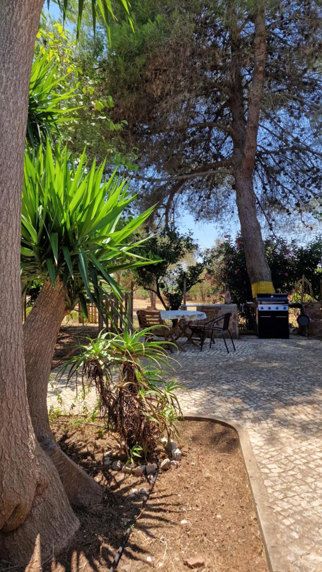 Chalet Villa Mosquito Silves Extérieur photo