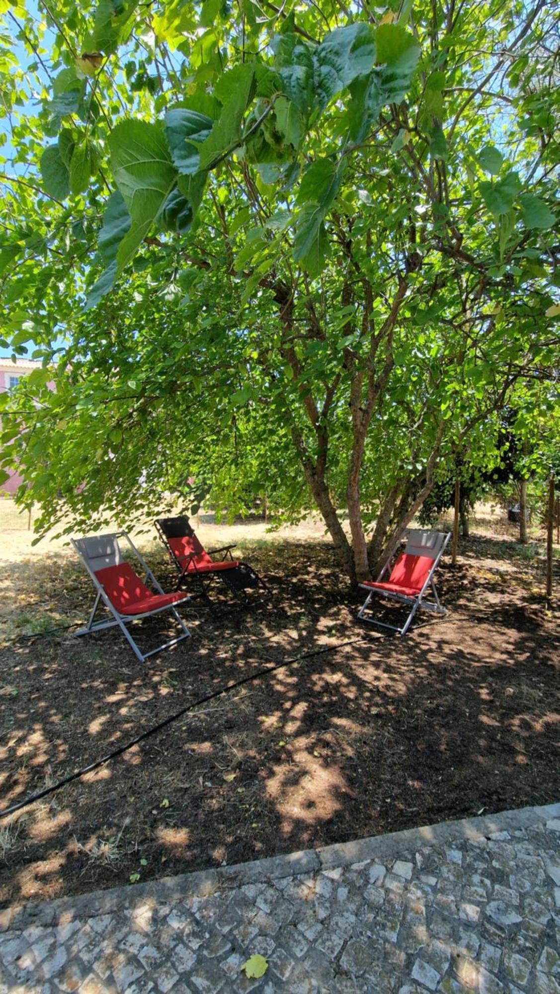 Chalet Villa Mosquito Silves Extérieur photo