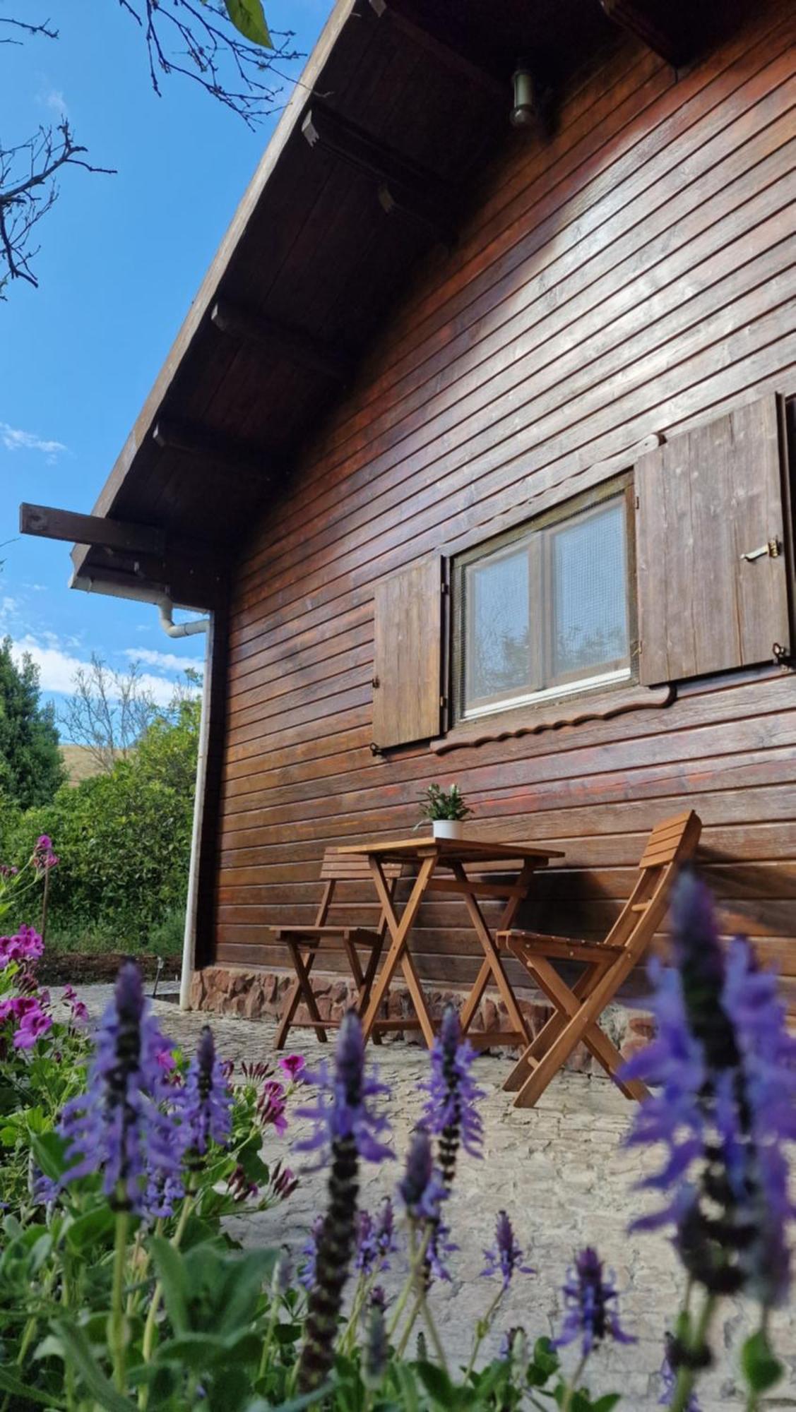 Chalet Villa Mosquito Silves Extérieur photo